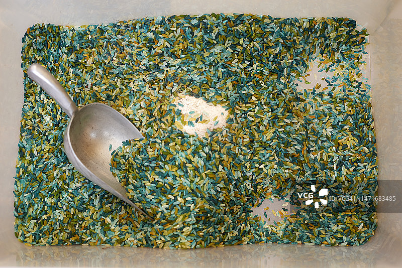 盛有各色米饭的托盘图片素材