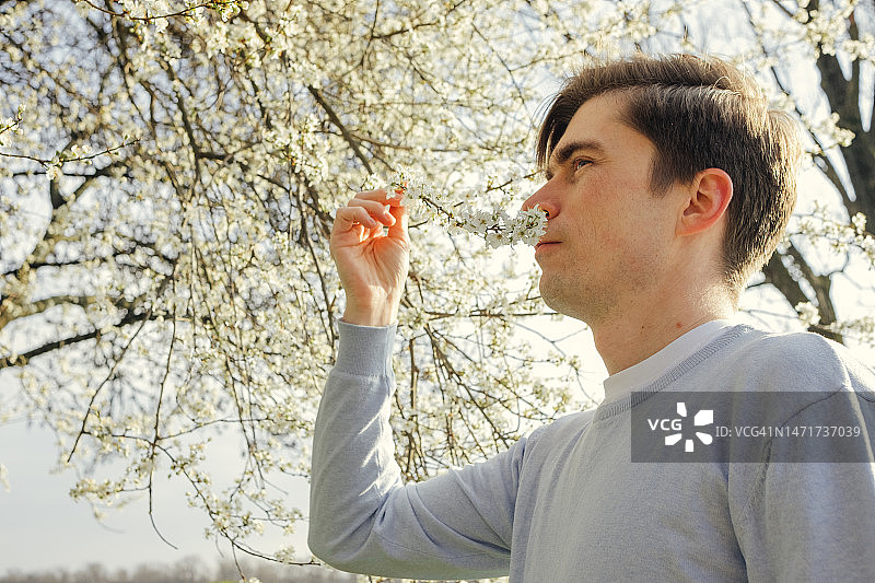 春天里树旁的男人图片素材