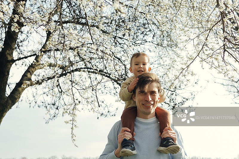 父亲抱着孩子，背景是盛开的树木图片素材