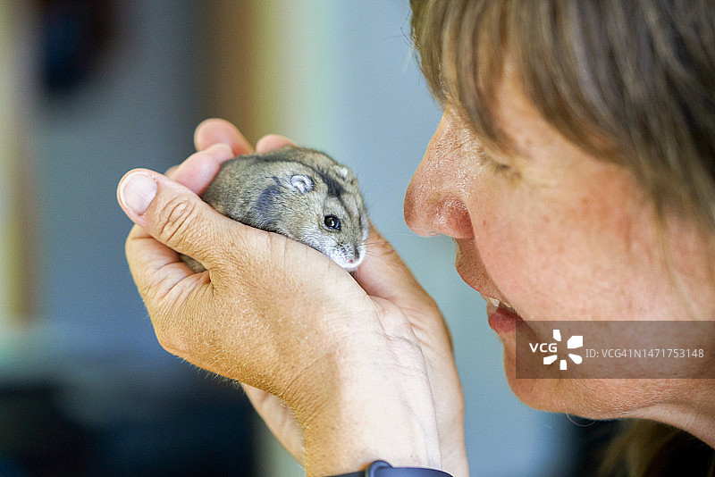 黑发女子与灰色仓鼠的特写图片素材