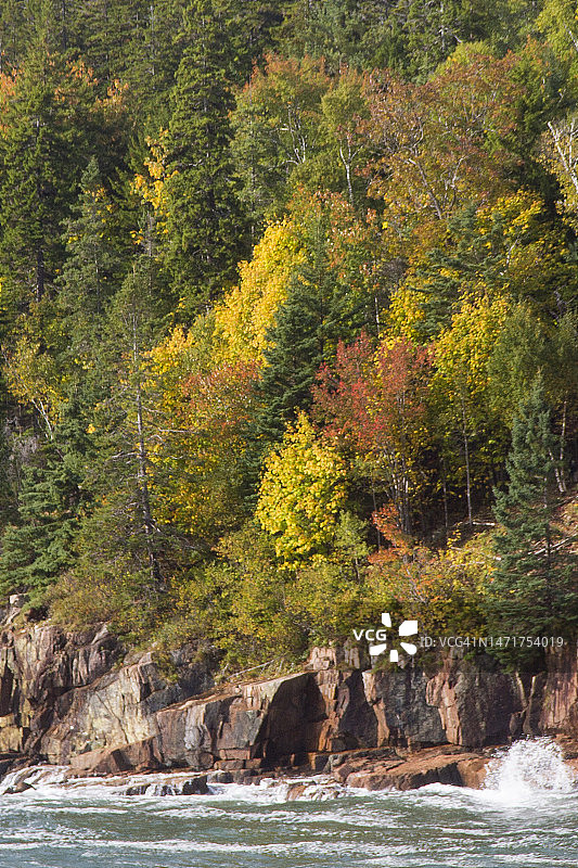 阿卡迪亚国家公园岩石海岸边的秋色树木图片素材