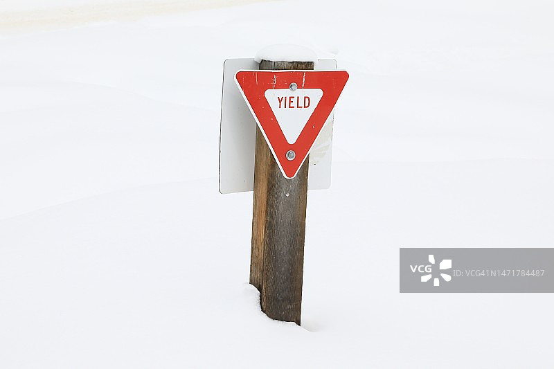 休闲多用途小路上的小型让行标志图片素材