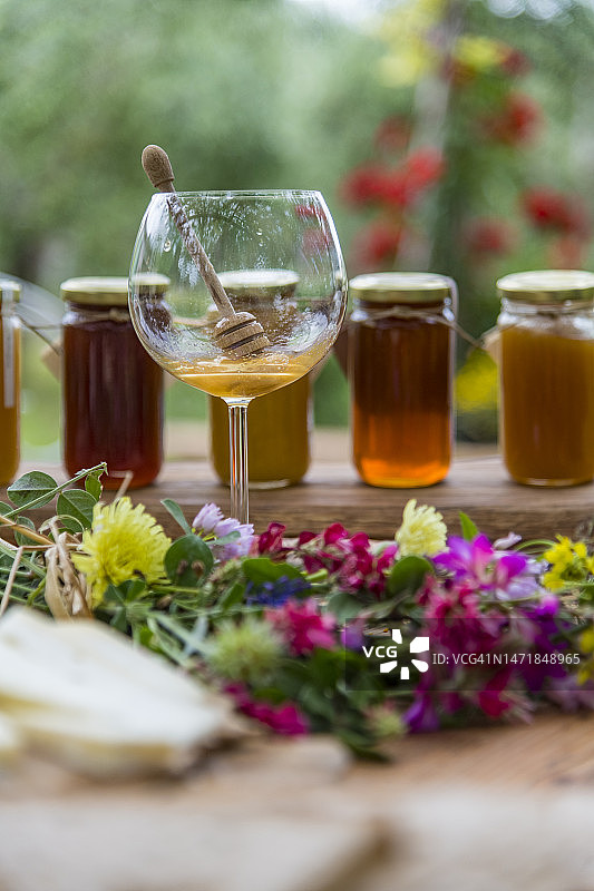 品尝蜂蜜图片素材