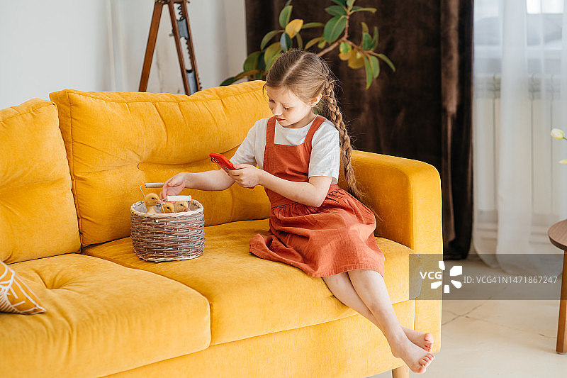 小孩用智能手机拍摄柳条筐里的小鹅，庆祝复活节图片素材