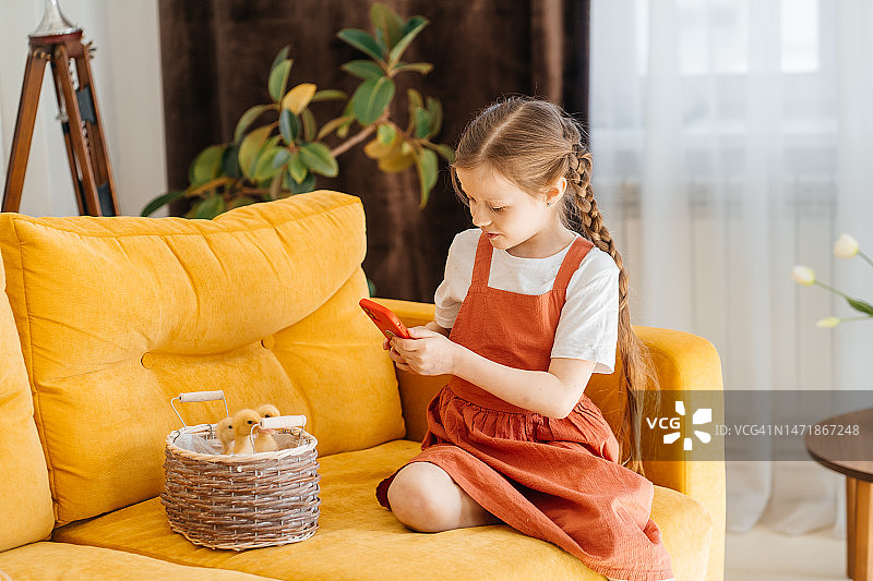 小孩用智能手机拍摄柳条筐里的小鹅，庆祝复活节图片素材
