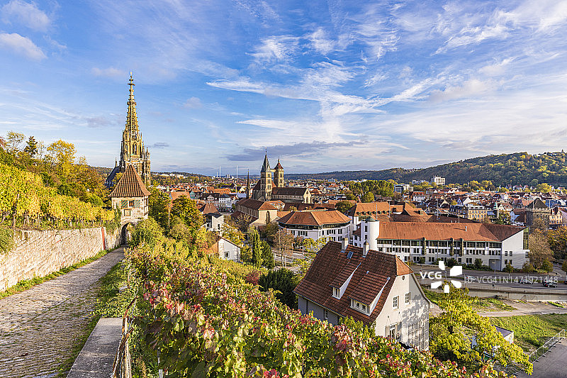 德国巴登-符腾堡州埃斯林根：秋季城镇景观与前景中的葡萄园图片素材