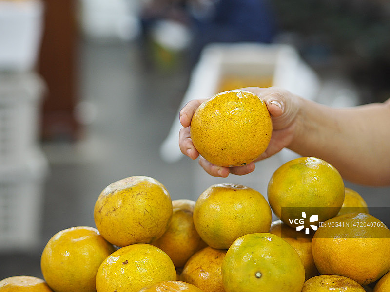 橙色水果图片素材