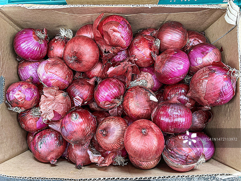 红洋葱图片素材