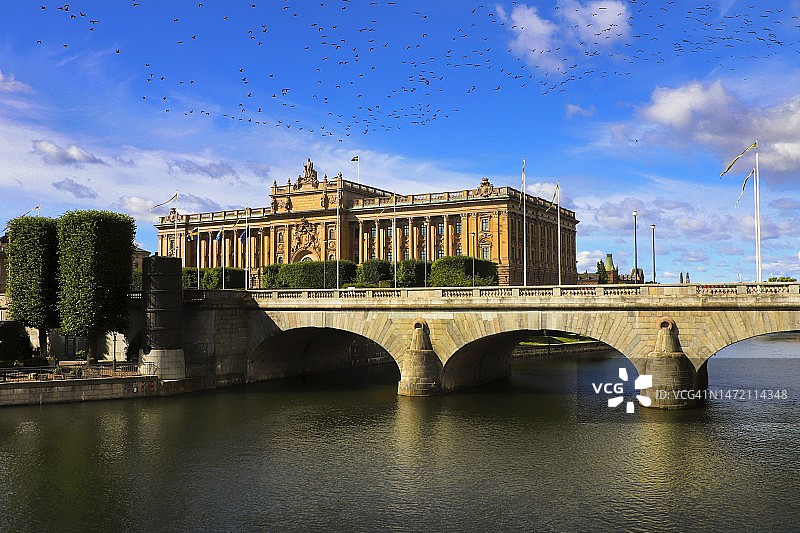 鸟群飞过瑞典议会大厦图片素材