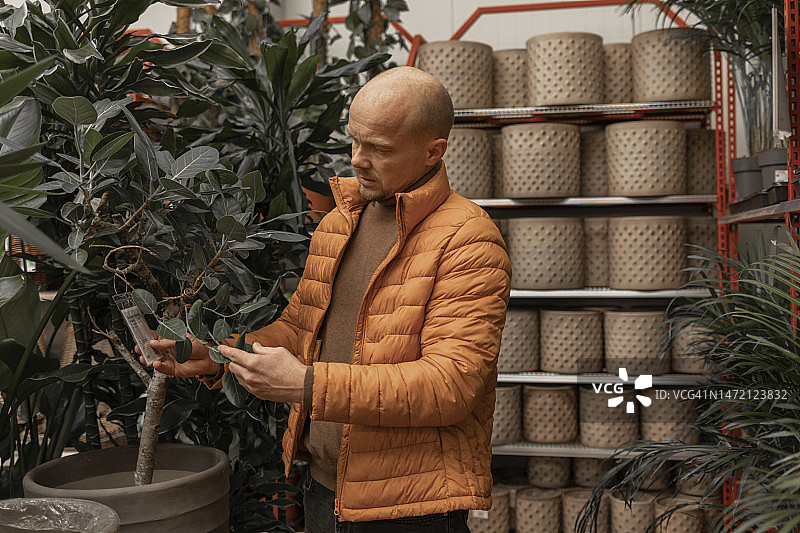 男人在园艺中心检查植物图片素材