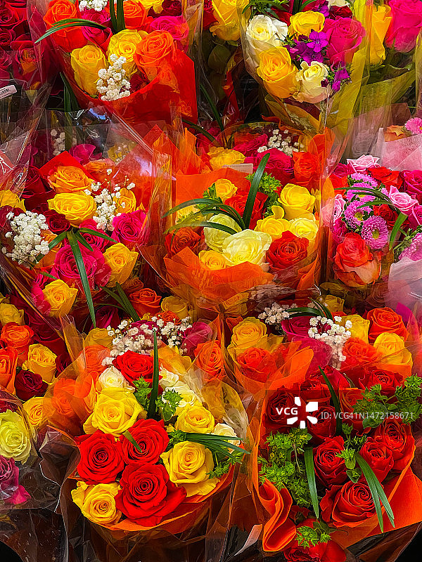 花束，帕拉姆斯图片素材