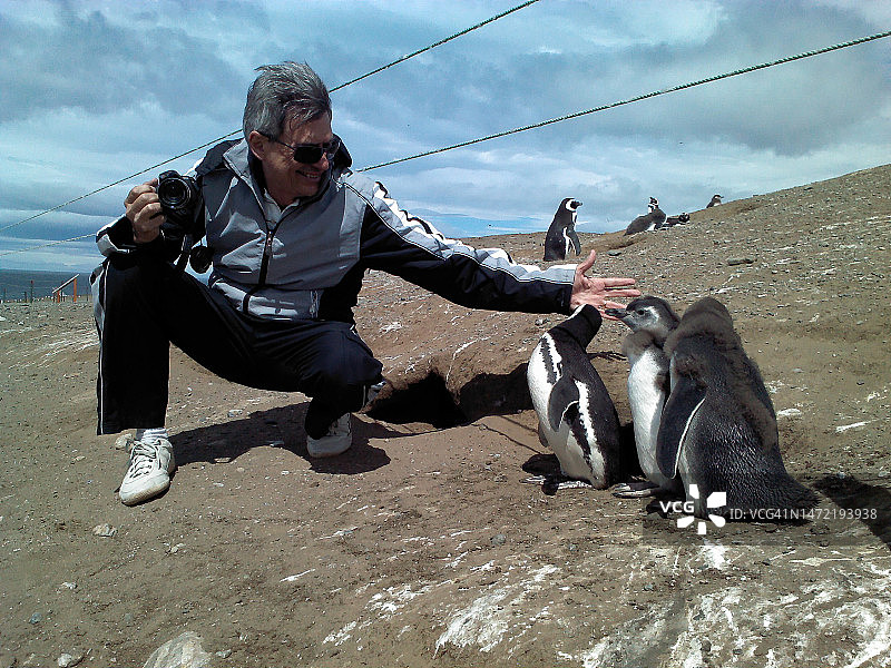 智利巴塔哥尼亚的野生动物图片素材