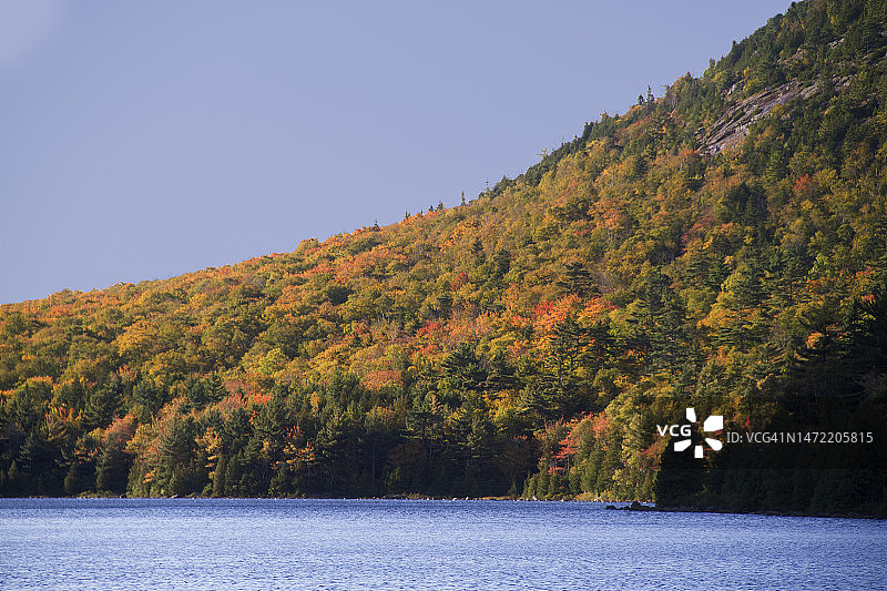 凯迪拉克山上秋色树木图片素材