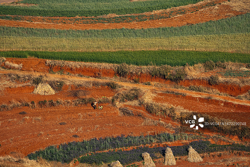 中国云南东川彩色红土地图片素材