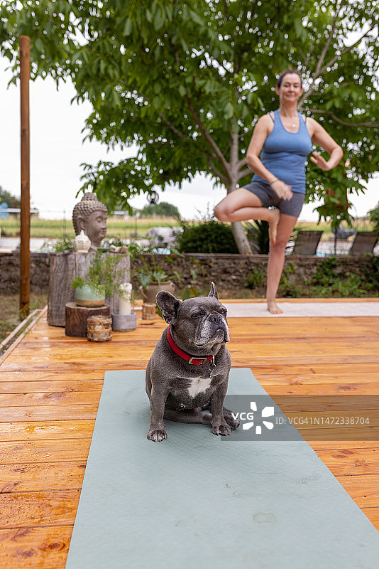 悲伤的狗和主人在瑜伽垫上图片素材