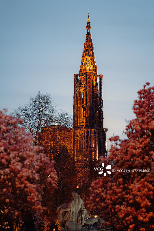 春季的斯特拉斯堡主教座堂图片素材