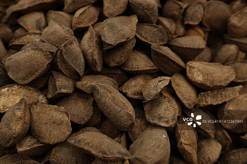 未剥壳巴西坚果堆特写图片素材