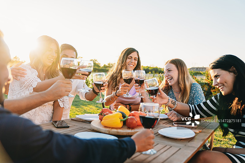 朋友们在后院的晚宴上一起玩耍图片素材