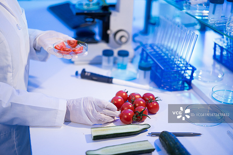 女实验室技术员检验蔬菜质量图片素材