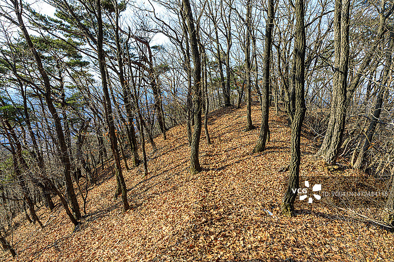 七甲山秋景图片素材