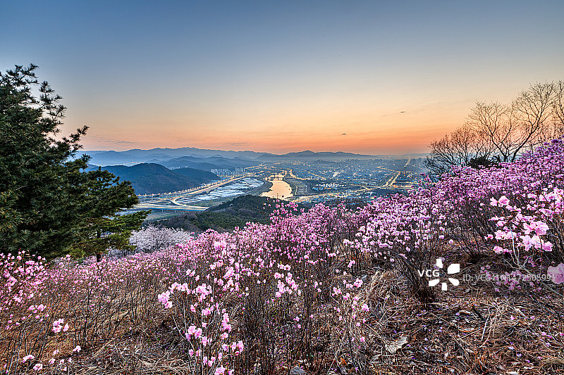卧龙山，大邱达城郡，卧龙山顶，卧龙山日出图片素材