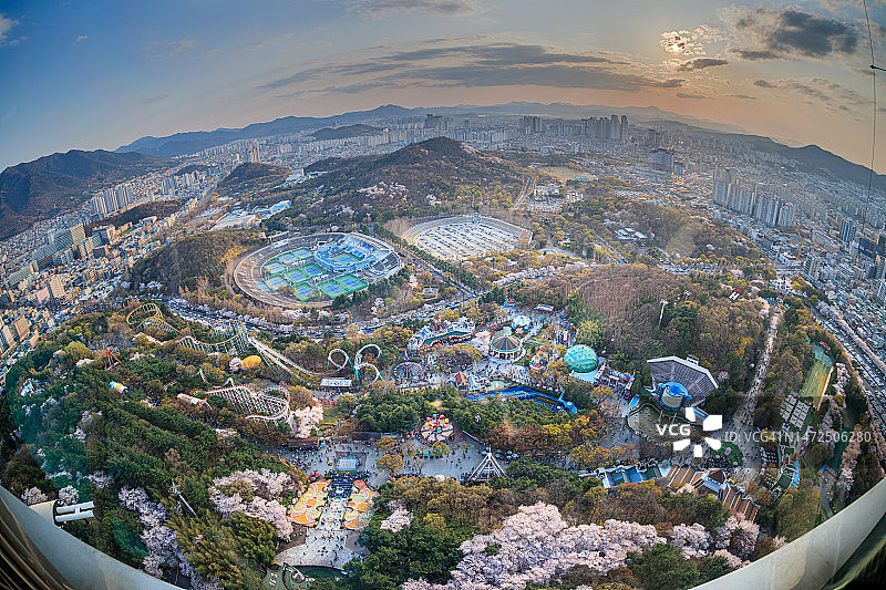 大邱E-World樱花盛景图片素材