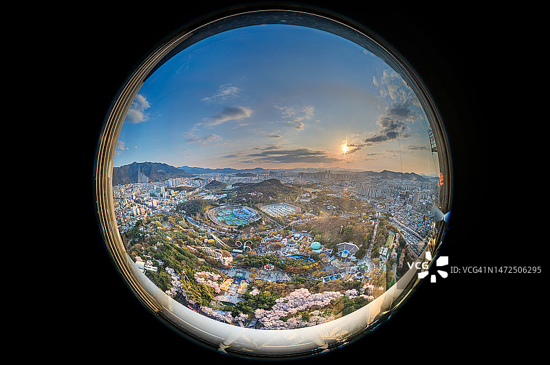 大邱E-World樱花盛景图片素材