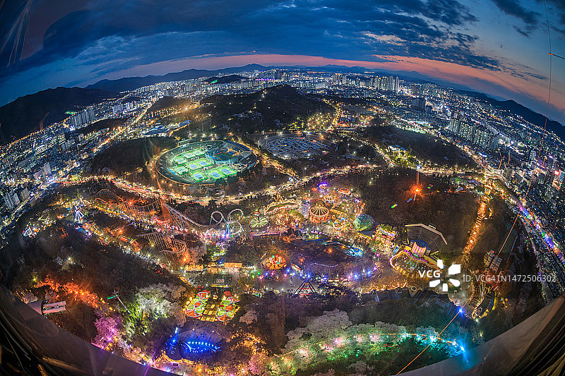 大邱E-World樱花盛景图片素材