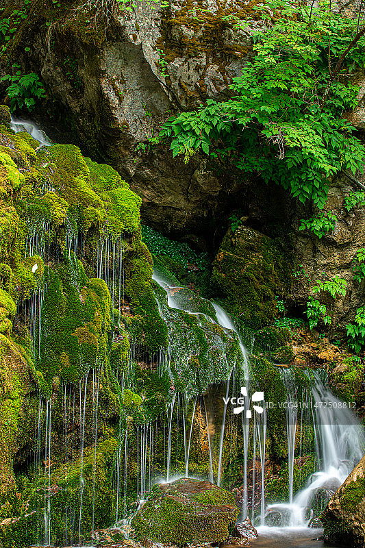 江原道三陟市，Mugeonri苔藓瀑布图片素材