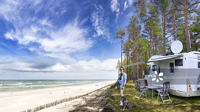 波罗的海与狗共度的暑假图片素材