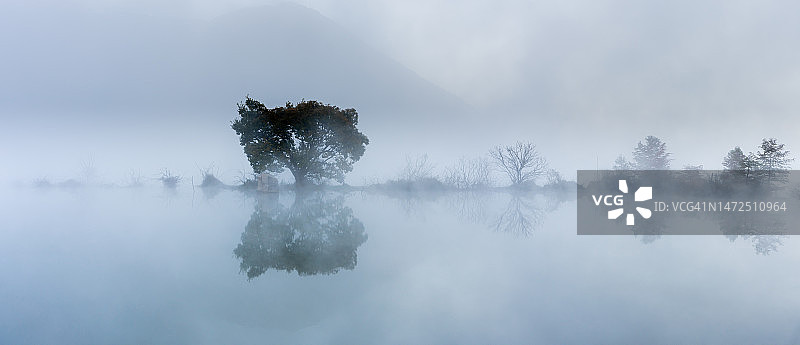 全罗北道井邑市的 calm 晨湖州泉生态公园图片素材