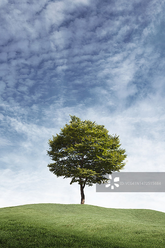 3D, CG，合成，对象，插图，背景图片素材