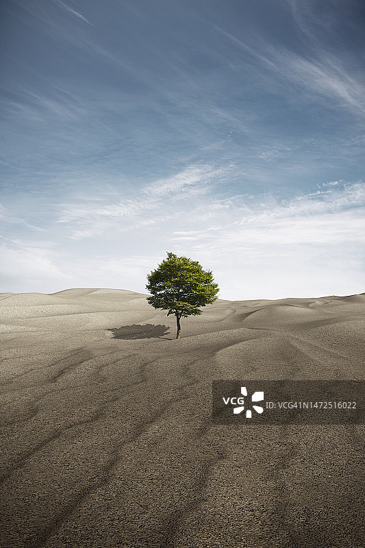 3D, CG，合成，对象，插图，背景图片素材