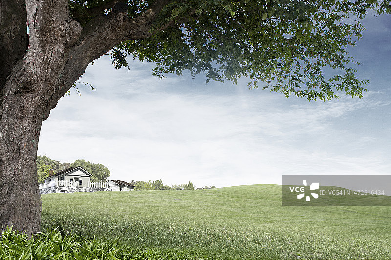 3D, CG，合成，对象，插图，背景图片素材