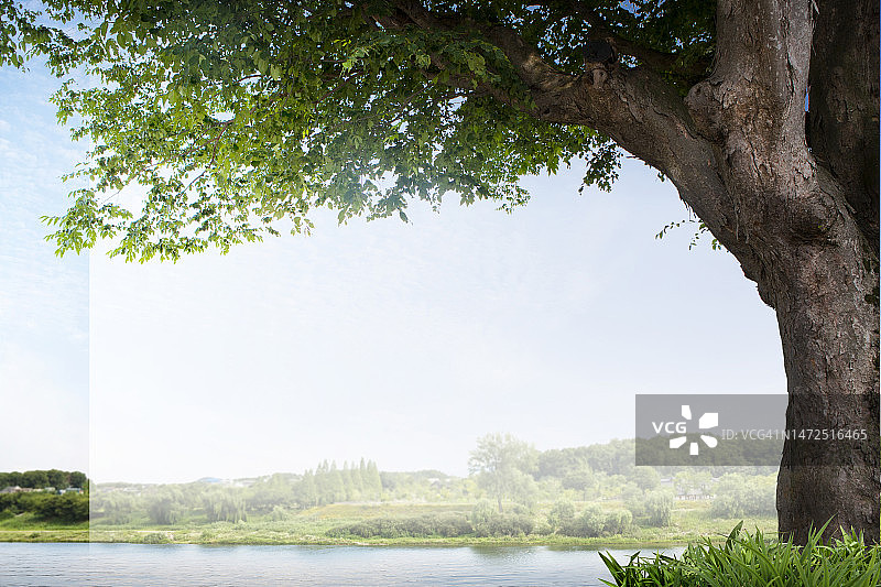 3D, CG，合成，对象，插图，背景图片素材