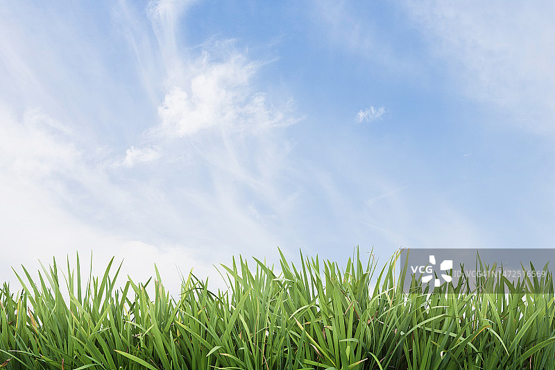 3D, CG，合成，对象，插图，背景图片素材