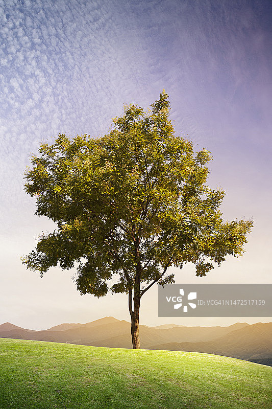 3D, CG，合成，对象，插图，背景图片素材