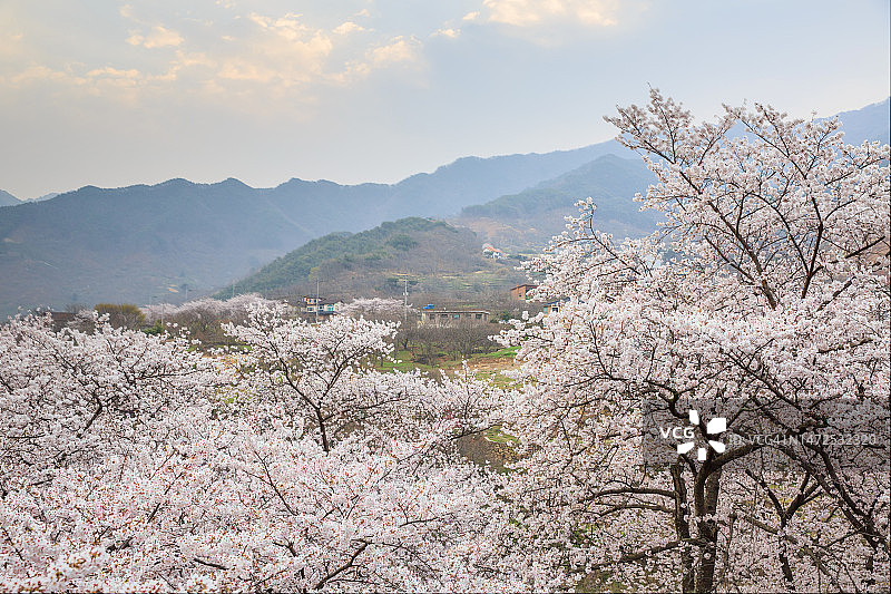 庆尚南道河东郡花开面云水里图片素材