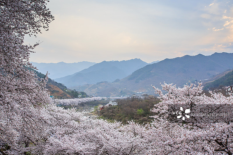 庆尚南道河东郡花开面云水里图片素材