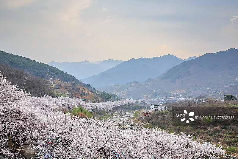 庆尚南道河东郡花开面云水里图片素材