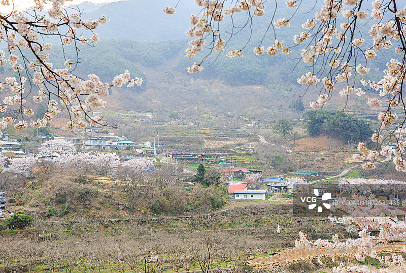庆尚南道河东郡花开面云水里图片素材