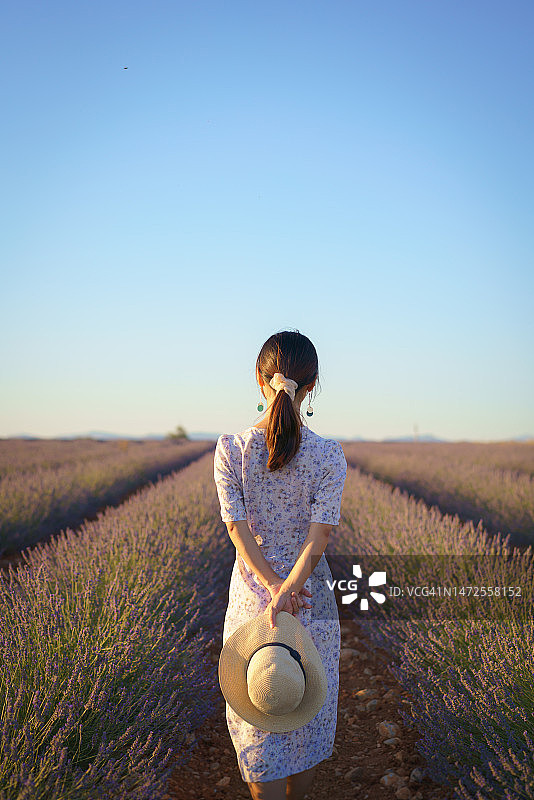 戴帽子的中国年轻女性身穿白色连衣裙，漫步在薰衣草田中图片素材