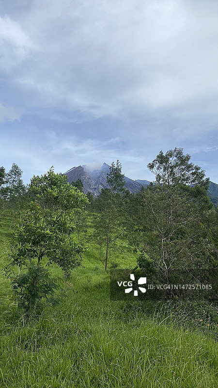 印度尼西亚默拉皮火山田野天空下的树木图片素材