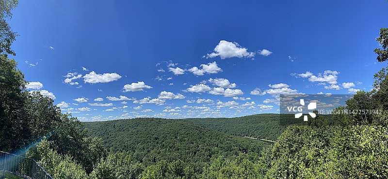 美国森林景观图片素材