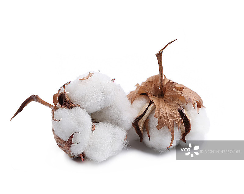 印尼美食特写，白色背景图片素材