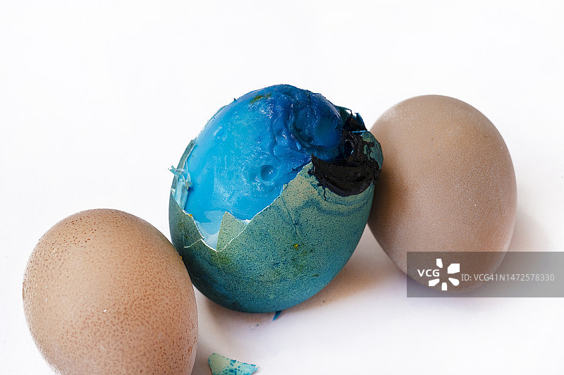 美丽的彩色春花特写图片素材