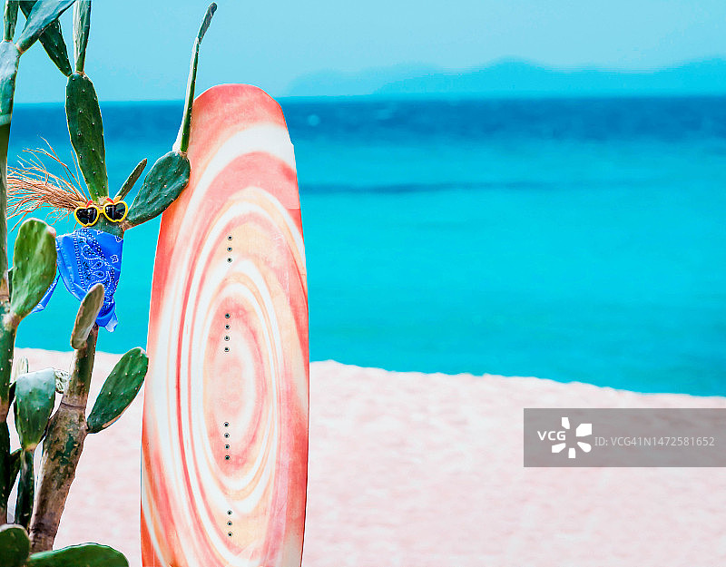仙人掌植物，海滩上的冲浪者，戴着太阳镜图片素材
