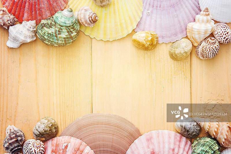 印度尼西亚餐桌上的贝壳俯视图图片素材