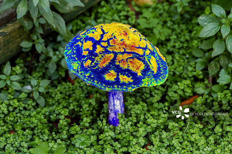 魔法蘑菇概念插画图片素材