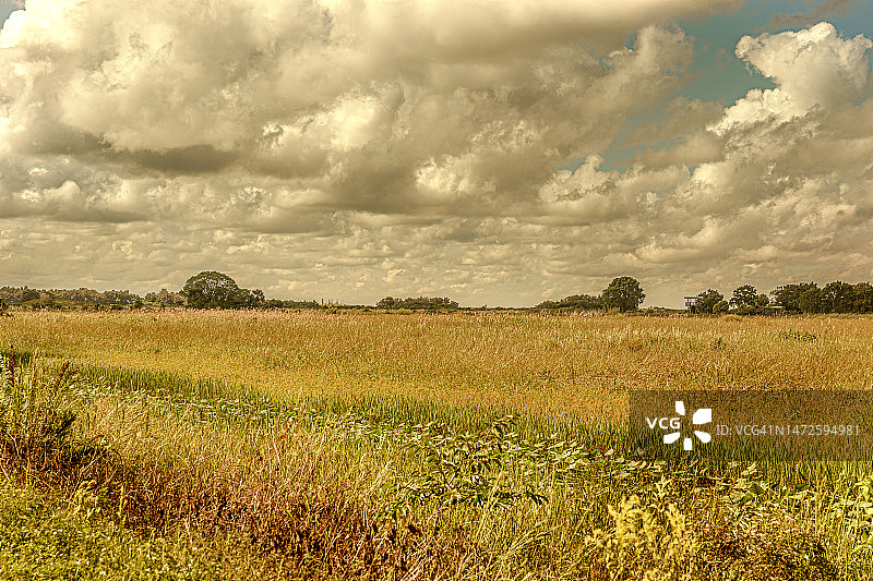 美国佛罗里达州洛克萨哈奇的田野风光图片素材